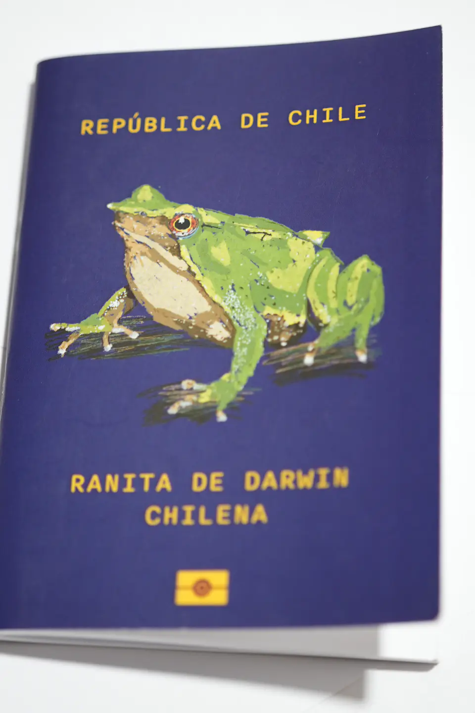 ANIMALES DE CHILE - PASSPORT TRAVEL NOTEBOOK 6