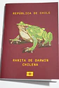 ANIMALES DE CHILE - PASSPORT TRAVEL NOTEBOOK - Miniatura 7