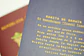 ANIMALES DE CHILE - PASSPORT TRAVEL NOTEBOOK - Miniatura 8