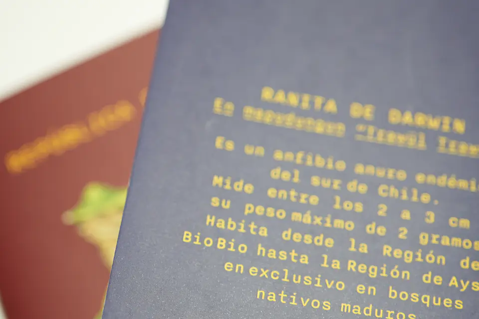 ANIMALES DE CHILE - PASSPORT TRAVEL NOTEBOOK 8