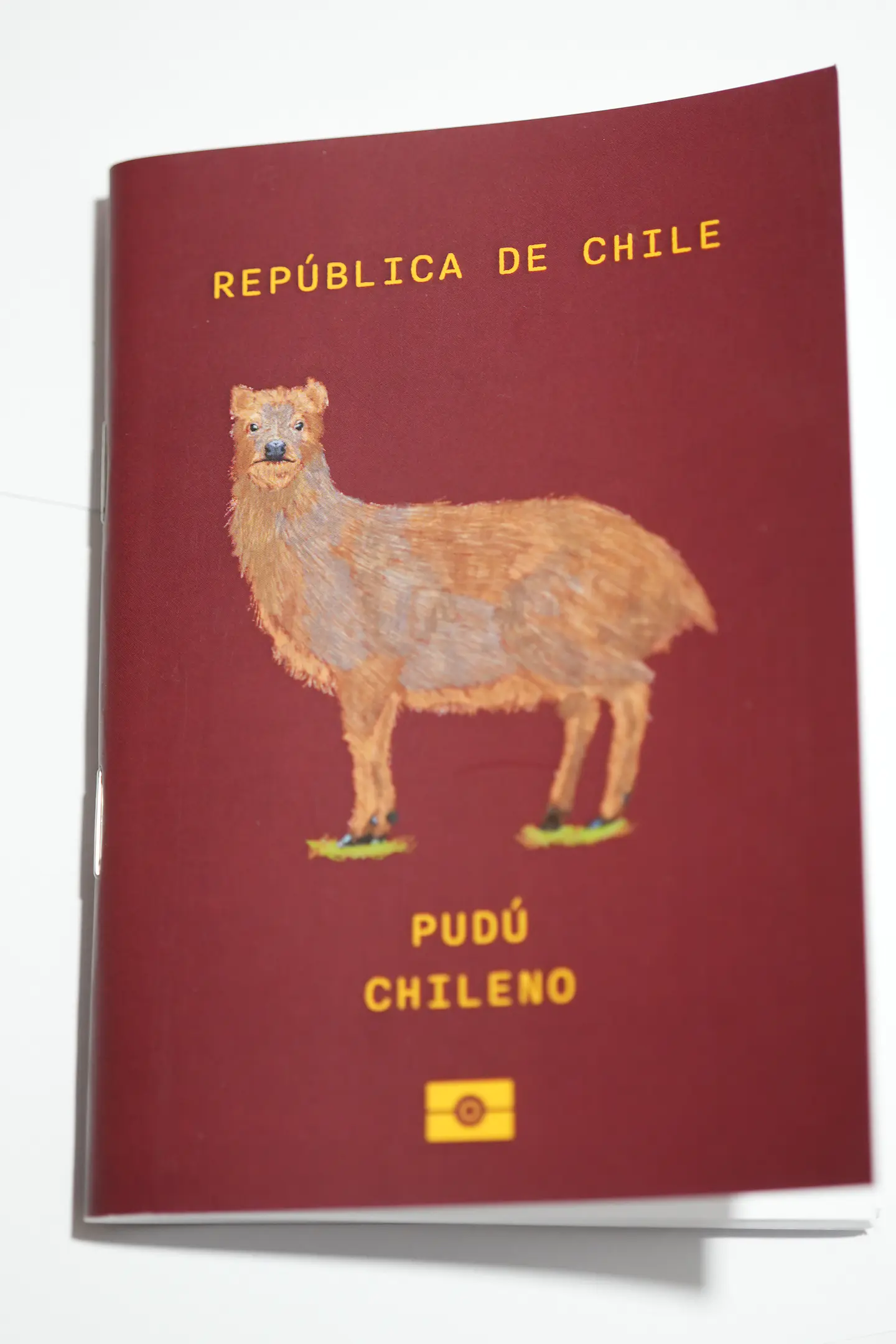 ANIMALES DE CHILE - PASSPORT TRAVEL NOTEBOOK 9