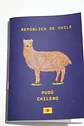 ANIMALES DE CHILE - PASSPORT TRAVEL NOTEBOOK - Miniatura 10