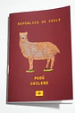 ANIMALES DE CHILE - PASSPORT TRAVEL NOTEBOOK - Miniatura 12