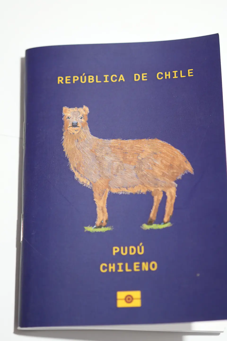 ANIMALES DE CHILE - PASSPORT TRAVEL NOTEBOOK 13