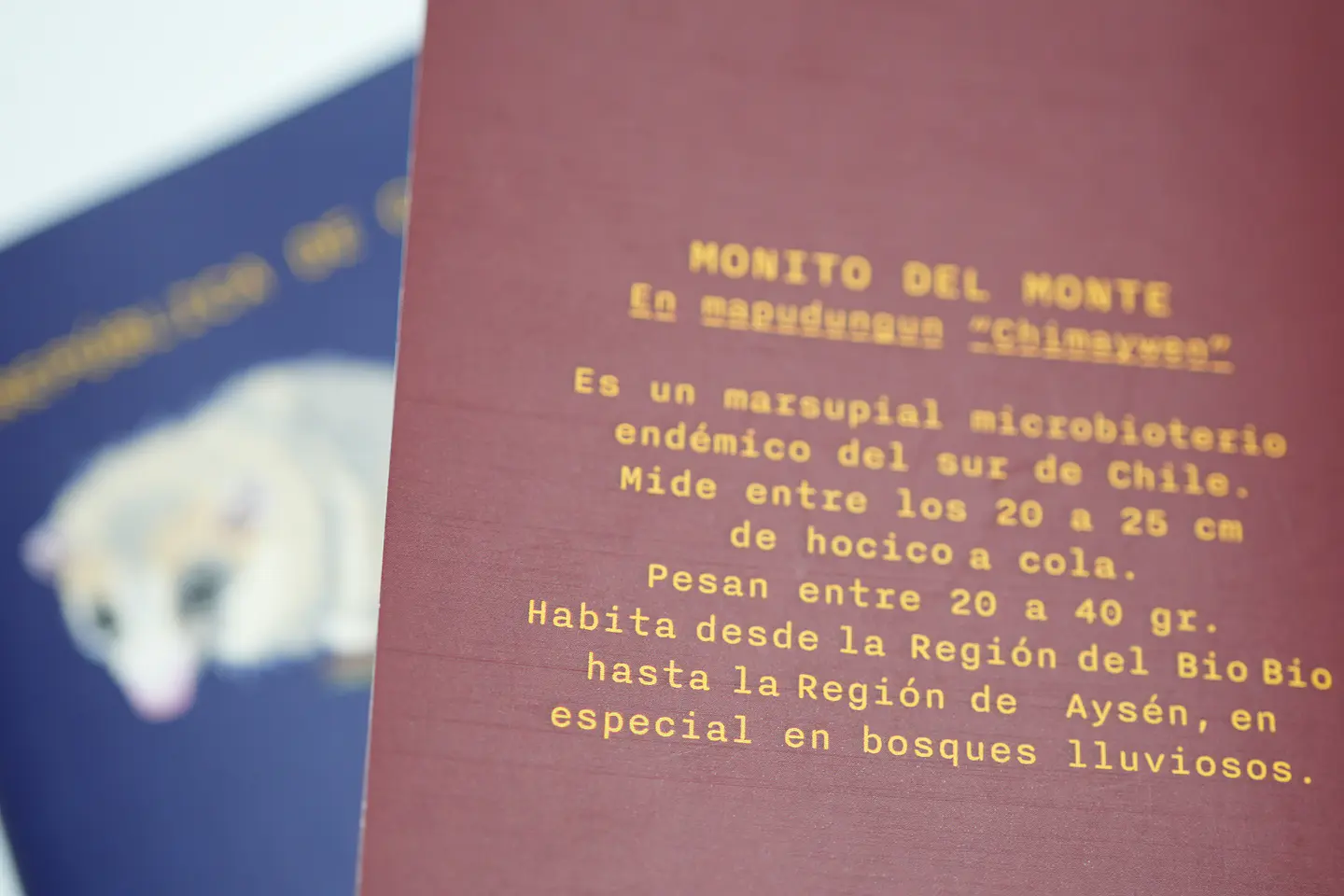 ANIMALES DE CHILE - PASSPORT TRAVEL NOTEBOOK 17