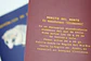 ANIMALES DE CHILE - PASSPORT TRAVEL NOTEBOOK - Miniatura 17