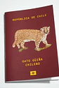 ANIMALES DE CHILE - PASSPORT TRAVEL NOTEBOOK - Miniatura 19