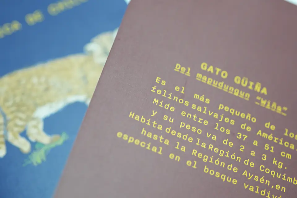 ANIMALES DE CHILE - PASSPORT TRAVEL NOTEBOOK 20