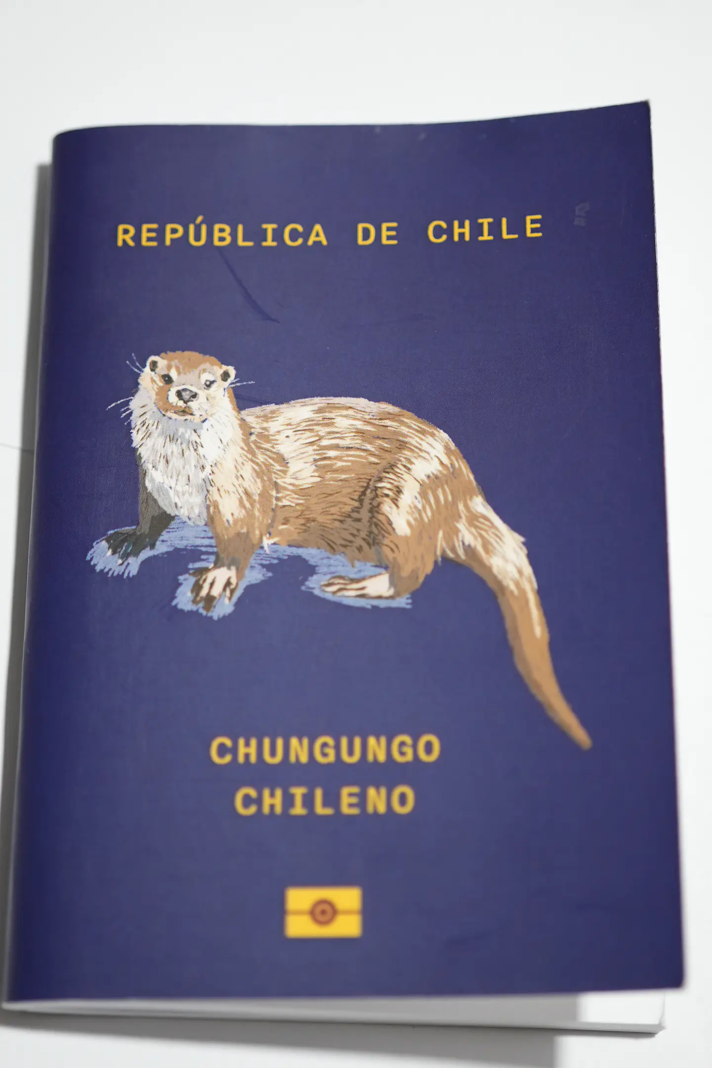 ANIMALES DE CHILE - PASSPORT TRAVEL NOTEBOOK 21