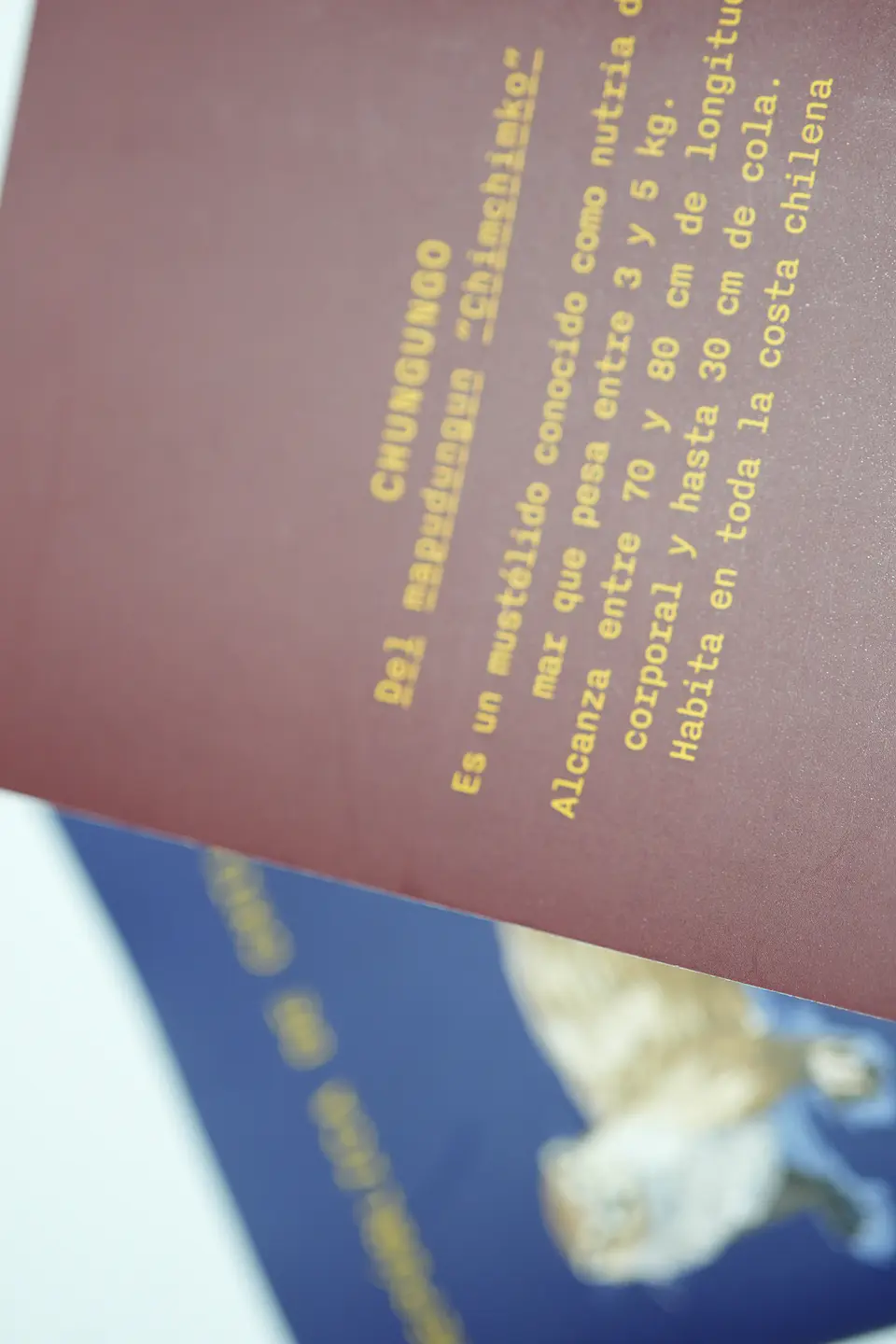 ANIMALES DE CHILE - PASSPORT TRAVEL NOTEBOOK 23