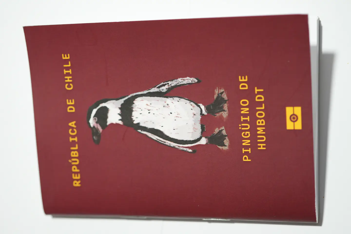 ANIMALES DE CHILE - PASSPORT TRAVEL NOTEBOOK 24
