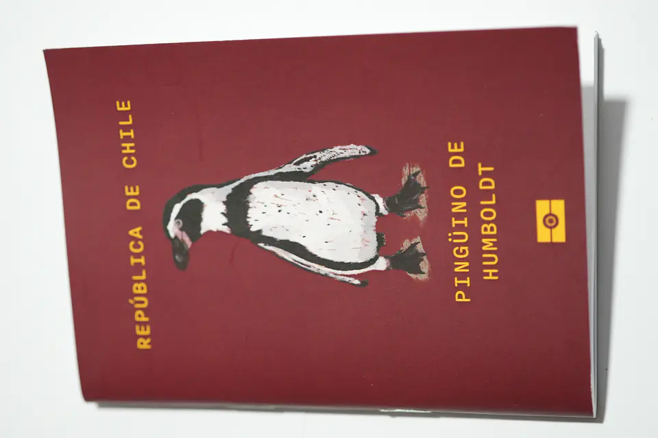 ANIMALES DE CHILE - PASSPORT TRAVEL NOTEBOOK 24