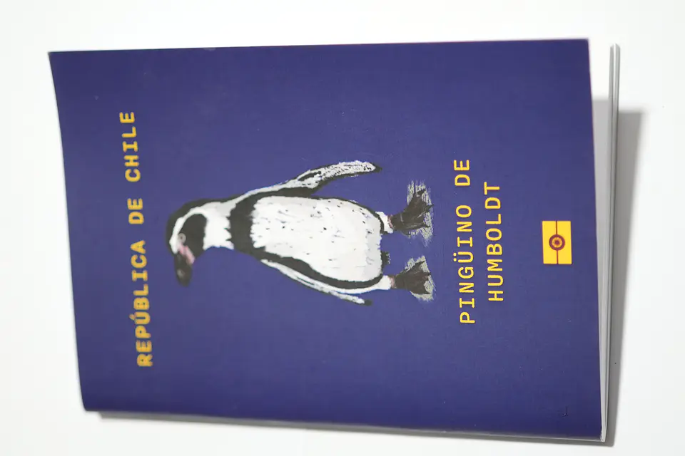 ANIMALES DE CHILE - PASSPORT TRAVEL NOTEBOOK 25