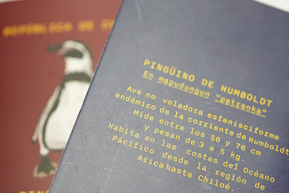 ANIMALES DE CHILE - PASSPORT TRAVEL NOTEBOOK 26