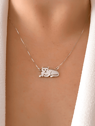 Collar Gato 