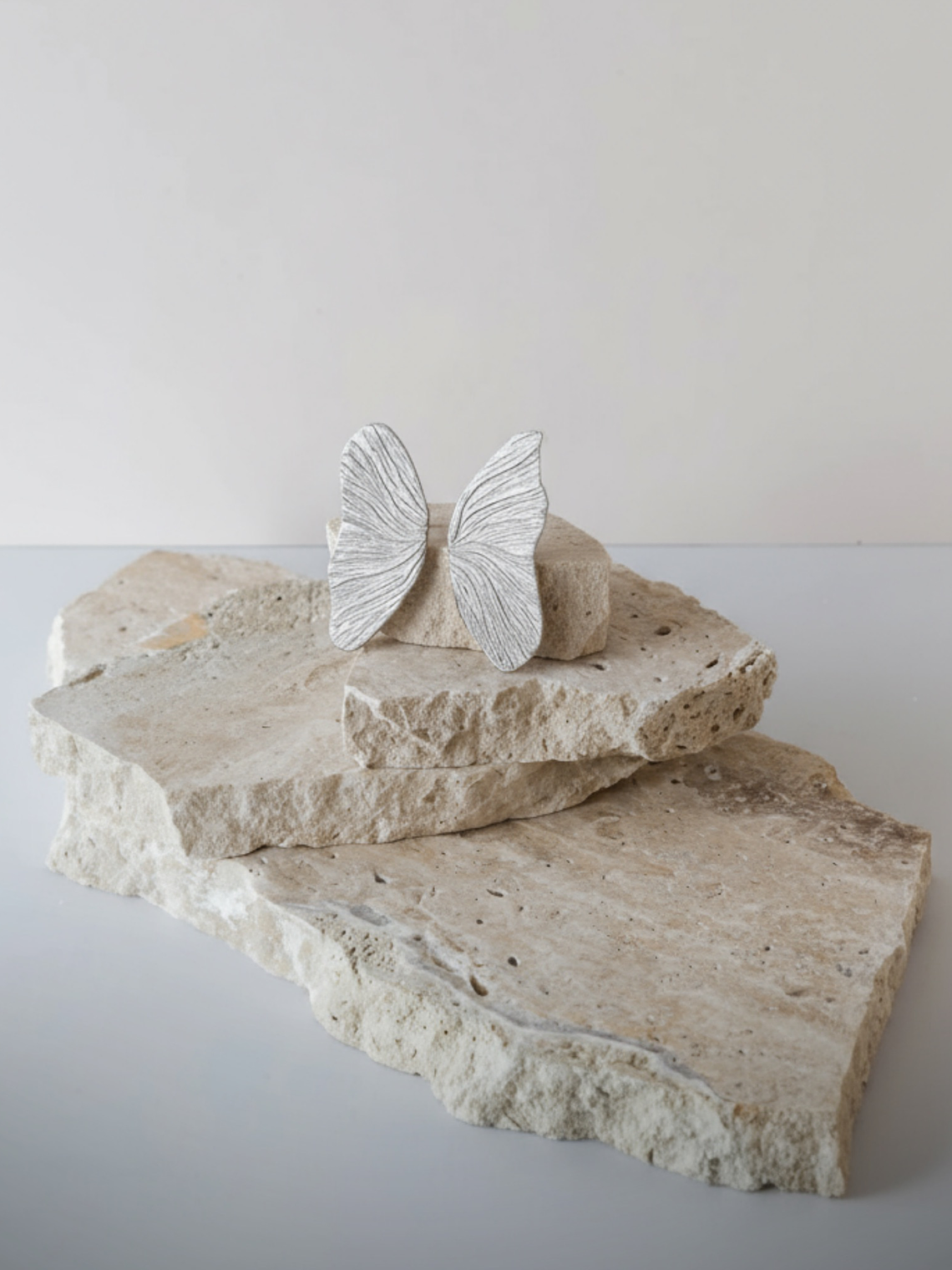 Brinco asa em prata 925  1