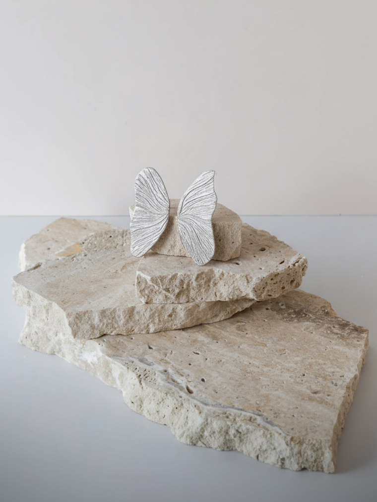 Brinco asa em prata 925  1