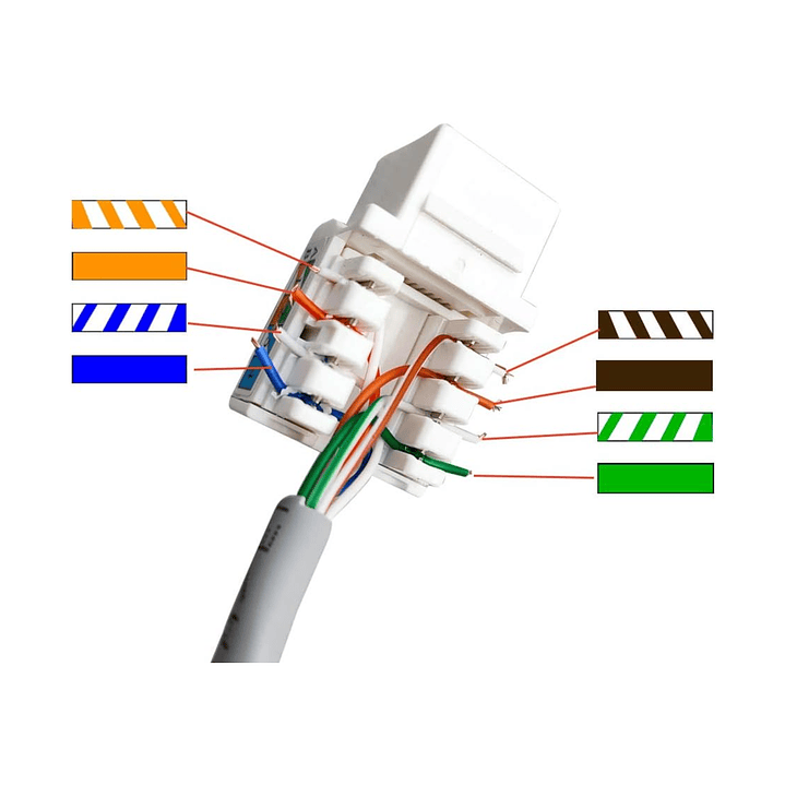 Módulo RJ45 CAT6 Keystone con Placa de Muro – Instalación Rápida y Profesional 5