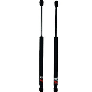 Amortiguador Quinta Puerta Renault Duster