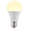 Pack x 10 Ampolletas Led A55 | 7w E27 Luz Blanca