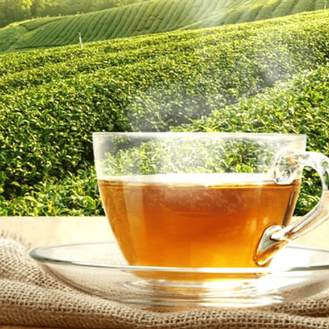 Te Verde China Green Tea Butterfly Brand 20 Bolsitas 40G