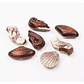 Bombones De Chocolates Belgian Seashells | Conchitas - Miniatura 2