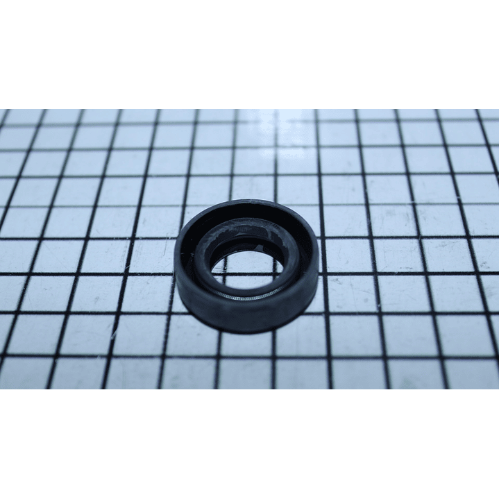 SELLO POSTE GDE USAR 5303161307-ELX WHITE WESTIN HOUSE CR444917 4