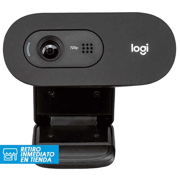 Webcam Logitech C505 HD 1