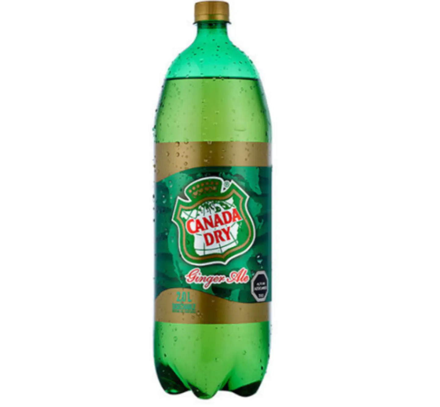 Ginger ale, 2 lt desechable 1