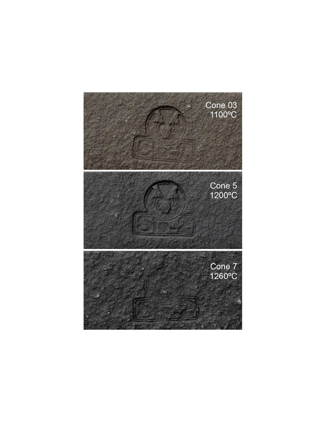 Pasta cerámica negra - chamote medio - PRNM - SIO2 1