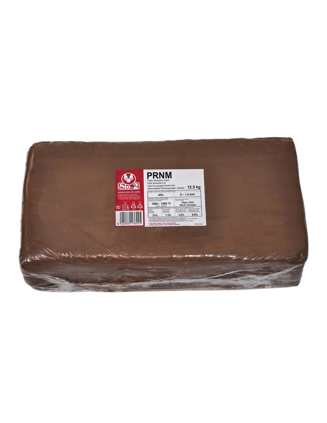 Pasta cerámica negra - chamote medio - PRNM - SIO2 2