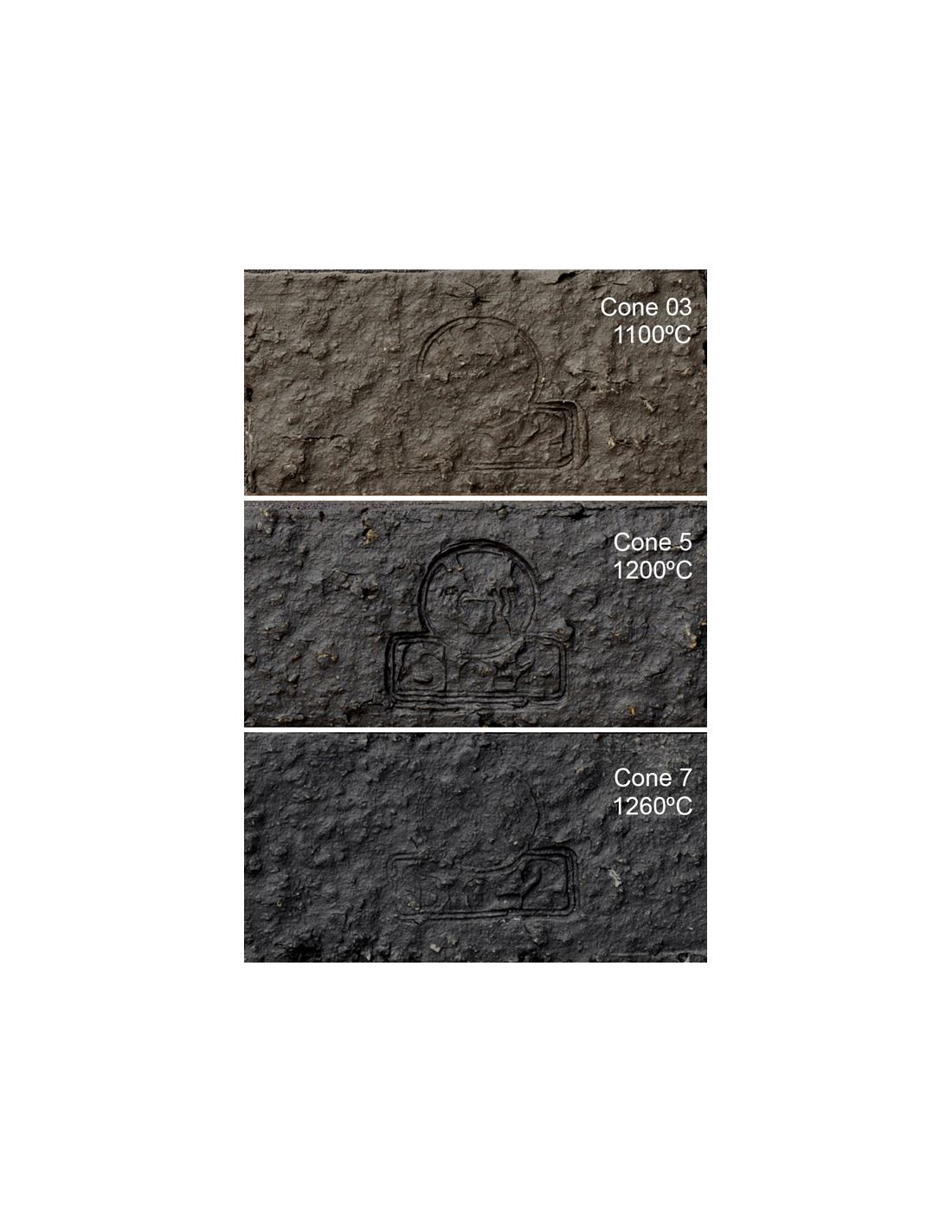 Pasta cerámica negra  - chamote grueso - PRNG - SIO2 1