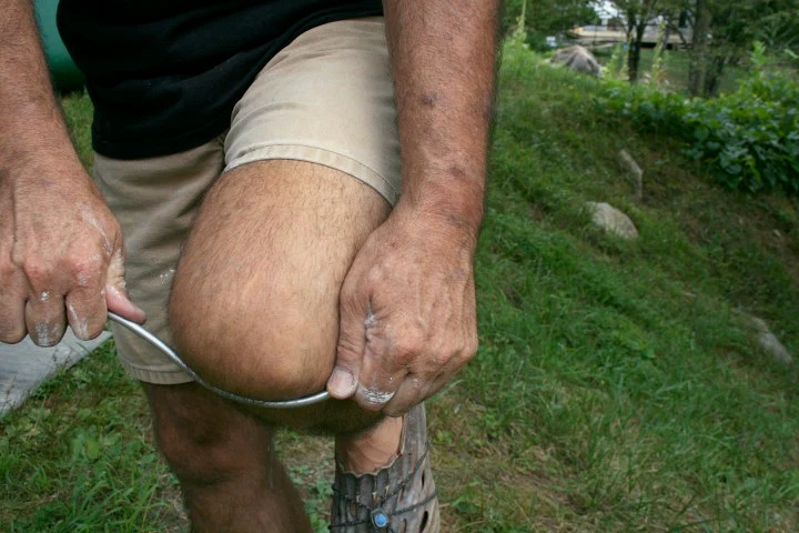 Esponjas auxiliares para tornear 6