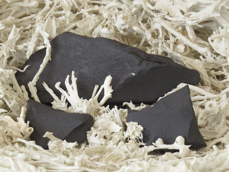 Seminario Enero 2019 - PaperPorcelana - dictado por Andrea Lallana