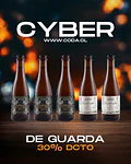 5-Pack CYBER</br> Botellas de guarda