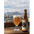 Cerveza Artesanal Mixto Deja Vú (Pack) 3