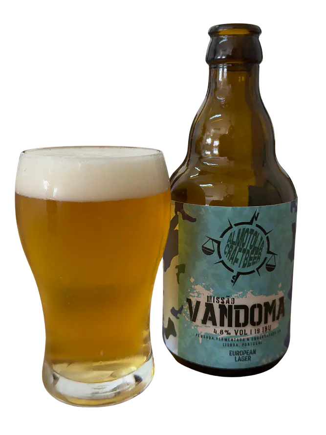 MISSÃO VANDOMA (Lager) 1