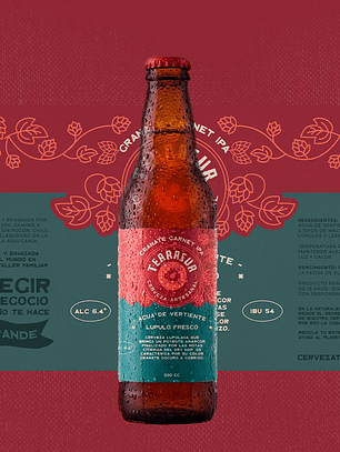 IPA Terrasur 330 cc Pack 12