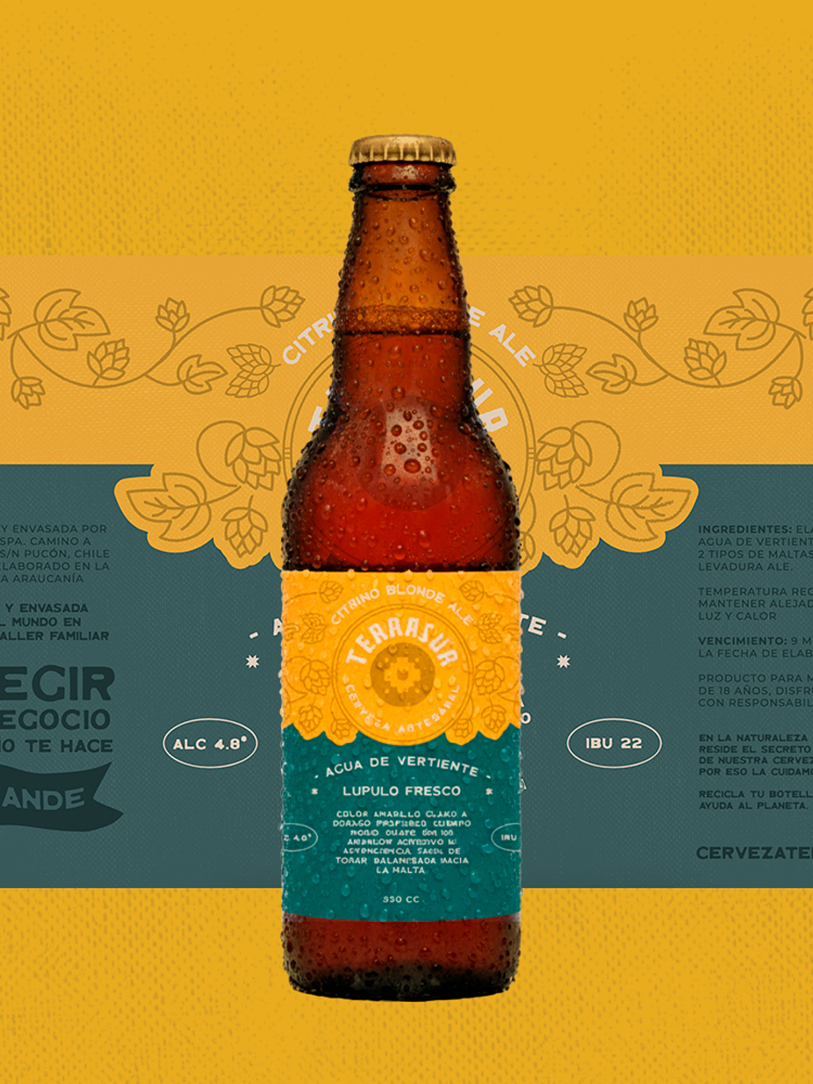Blonde Ale Terrasur 330 cc Pack 12 1
