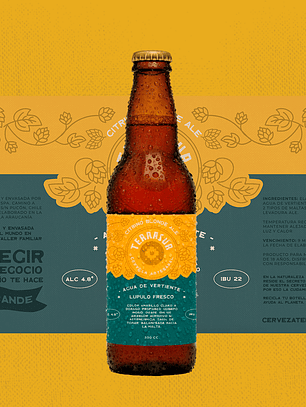 Blonde Ale Terrasur 330 cc Pack 12