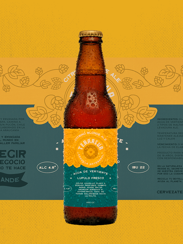 Blonde Ale Terrasur 330 cc Pack 12 1