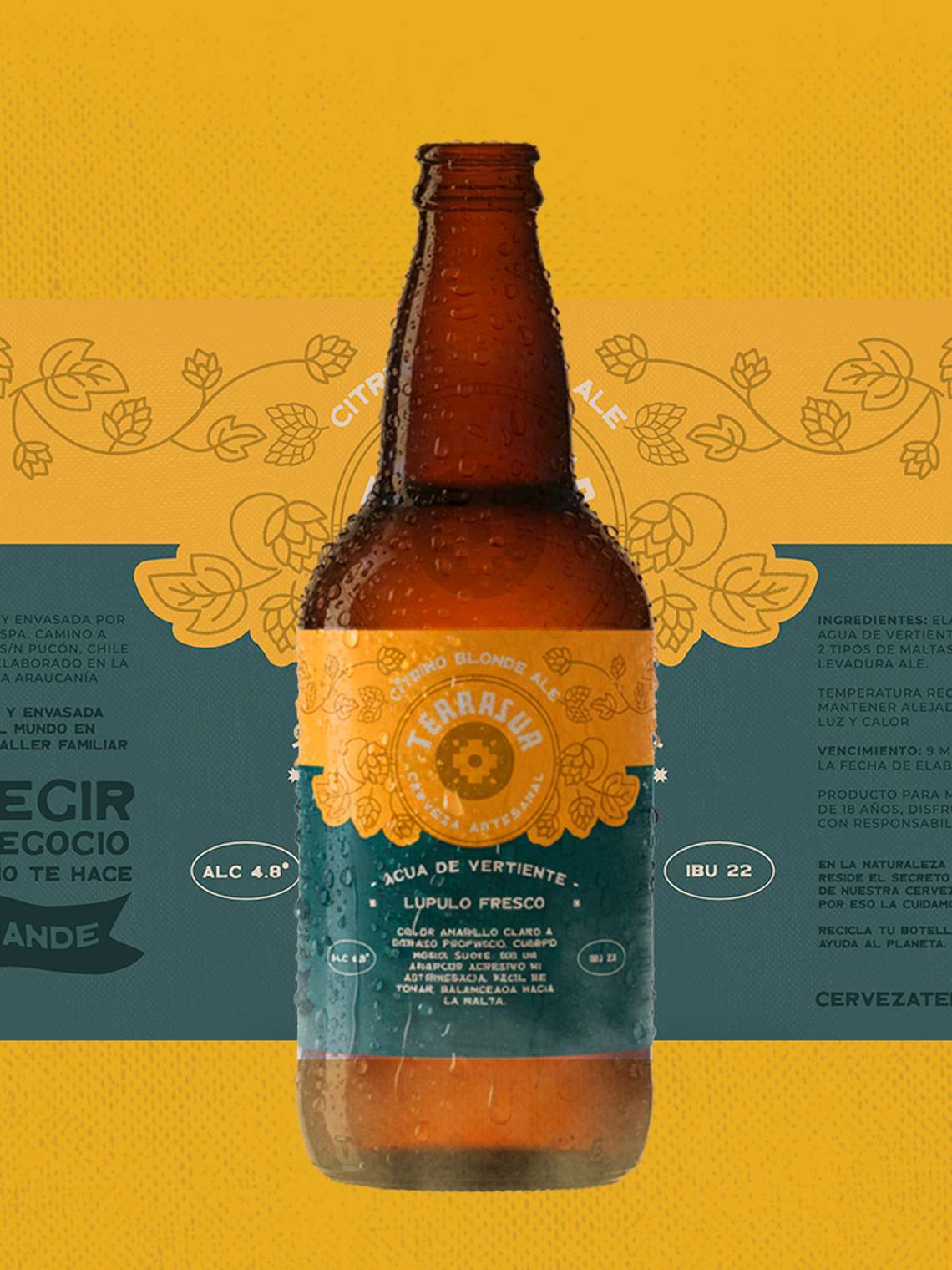 Blonde Ale Terrasur 500 cc Pack 8 1