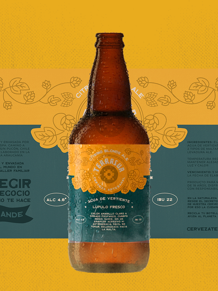 Blonde Ale Terrasur 500 cc Pack 8 1