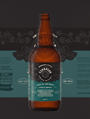 Stout Terrasur 500 cc Pack 8