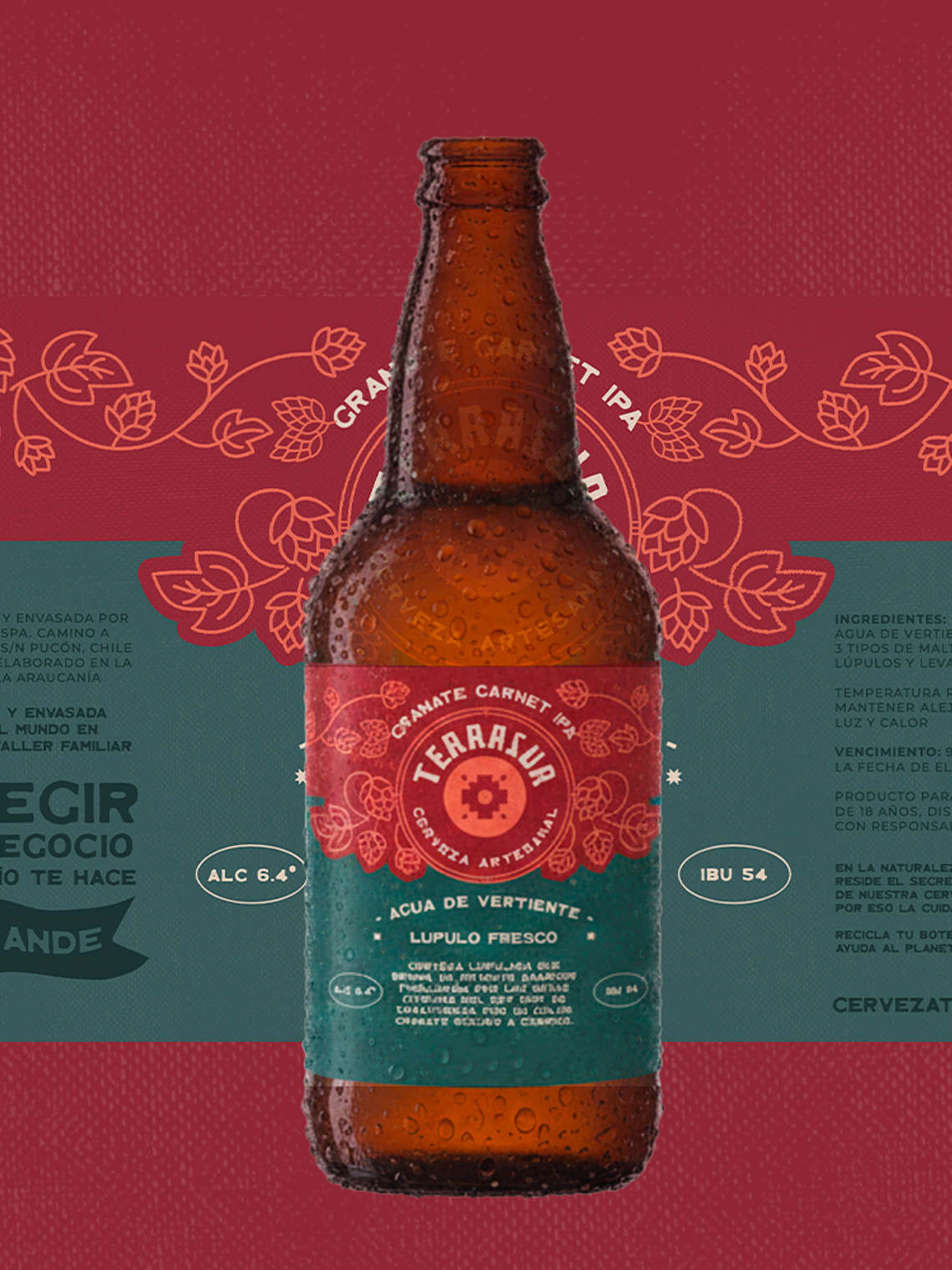 IPA Terrasur 500 cc Pack 8 1