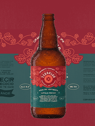 IPA Terrasur 500 cc Pack 8