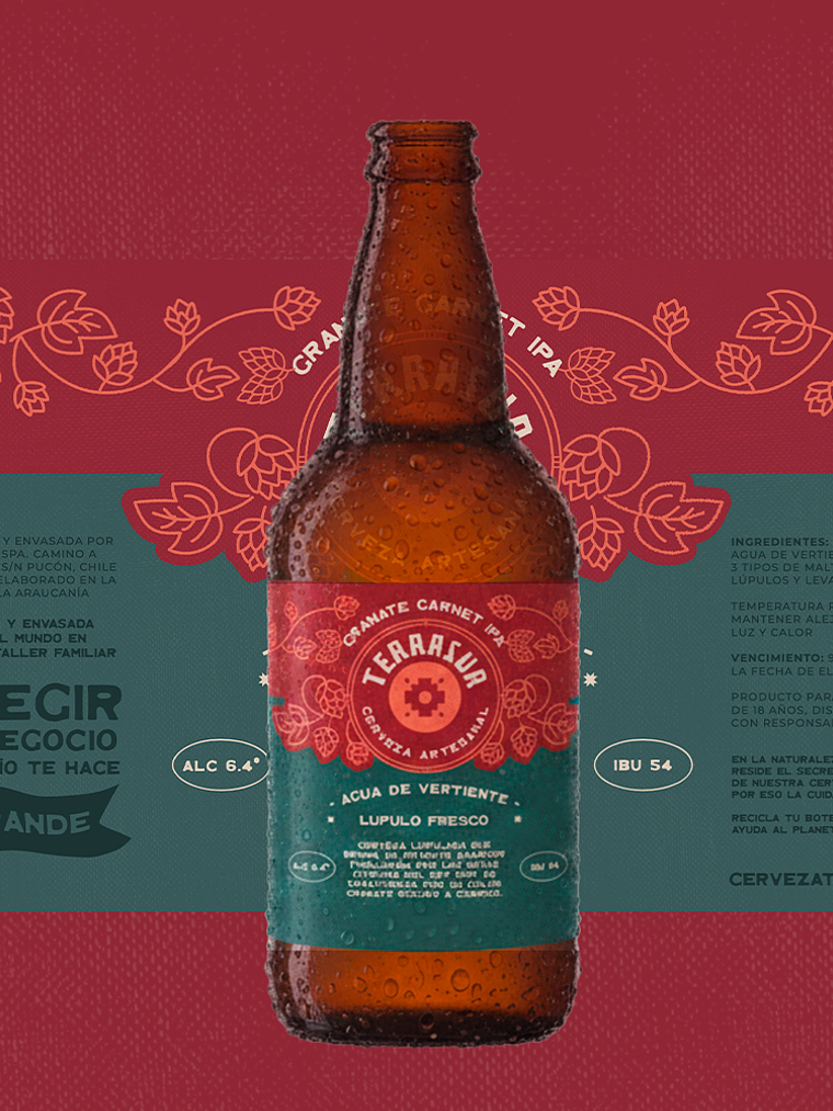 IPA Terrasur 500 cc Pack 8 1