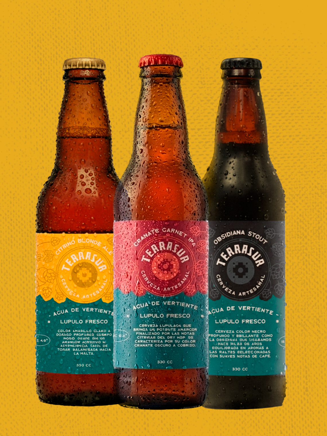 Tri Pack Terrasur 330 cc 1