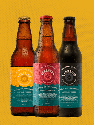 Tri Pack Terrasur 330 cc