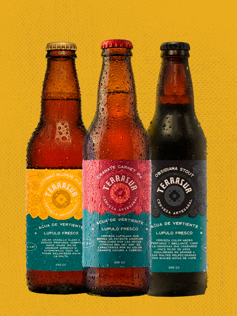 Tri Pack Terrasur 330 cc 1